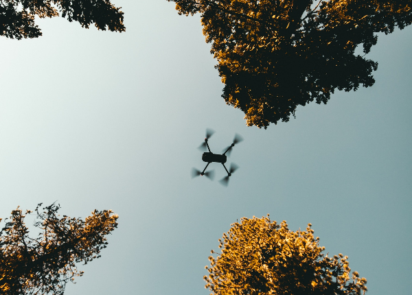 Drohne im Himmel mit Baumwipfeln