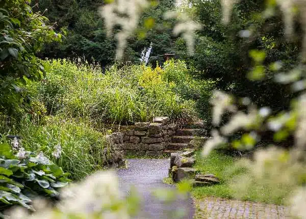 Grüner Garten