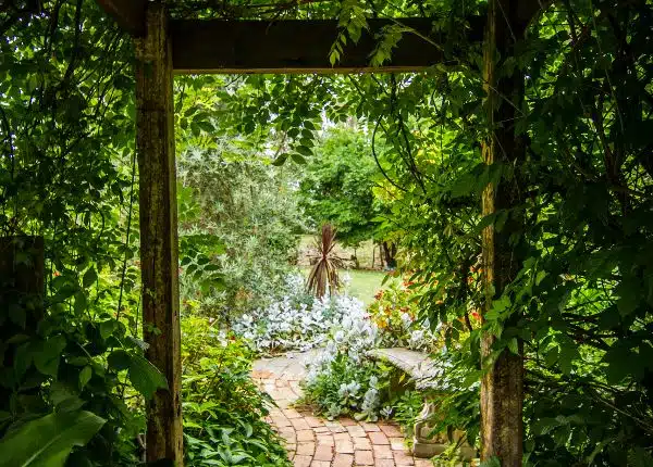 Ausblick in einen naturbelassenen Garten