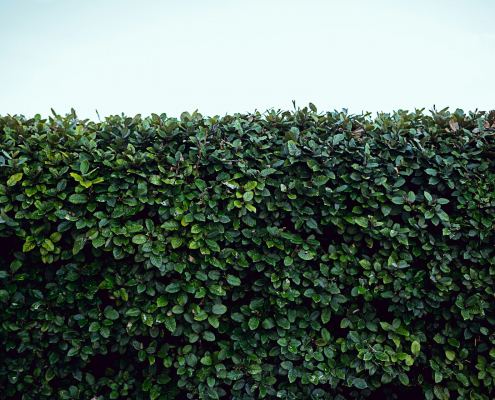 Hecke