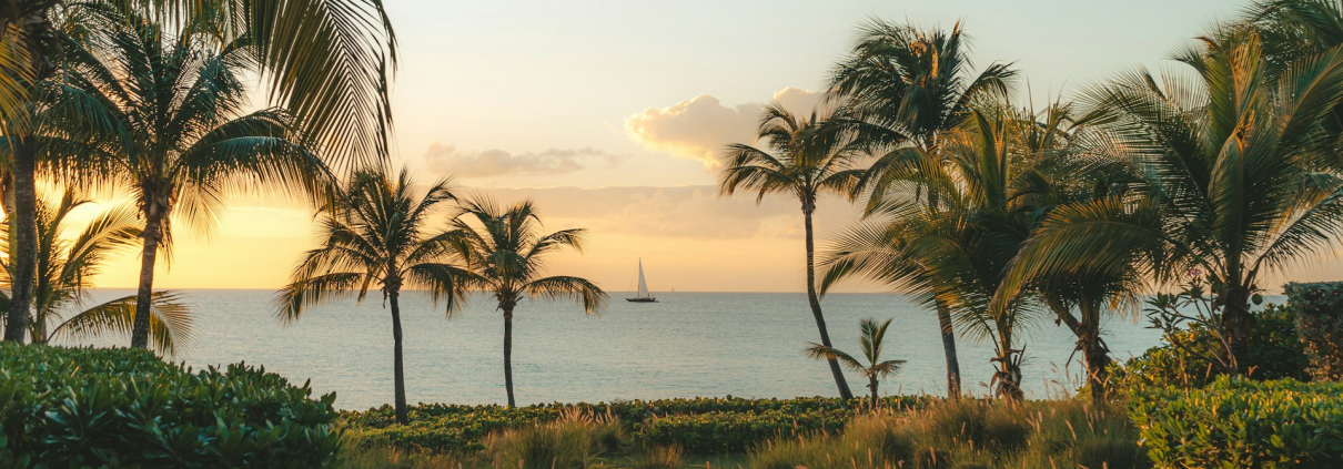 Palmen und Blick aufs Meer