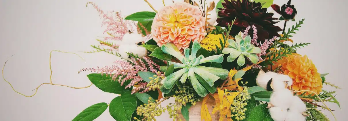 hailey-wagner-4icV47LjYc4-unsplash Blumen