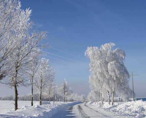 Straße mit Schnee und Bäumen