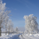 Straße mit Schnee und Bäumen