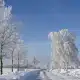 Straße mit Schnee und Bäumen