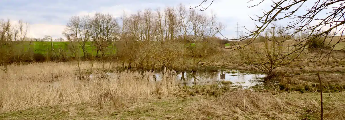 El Nino Wetter, Wasser, Bäume: Veränderungen in der Natur zeigen sich oft früh. Wer draußen arbeitet, sieht sie zuerst.