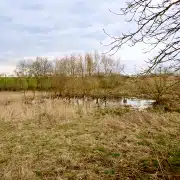 Wetter, Wasser, Bäume: Veränderungen in der Natur zeigen sich oft früh. Wer draußen arbeitet, sieht sie zuerst.