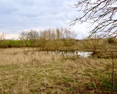 Wetter, Wasser, Bäume: Veränderungen in der Natur zeigen sich oft früh. Wer draußen arbeitet, sieht sie zuerst.
